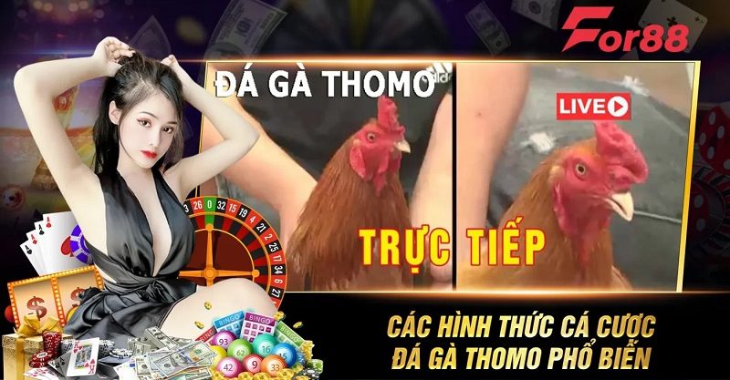 Các hình thức cá cược đá gà thomo phổ biến