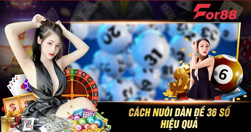 Cách nuôi dàn đề 36 số hiệu quả