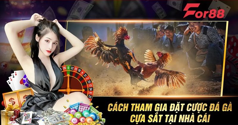 Cách tham gia đặt cược đá gà cựa sắt tại nhà cái