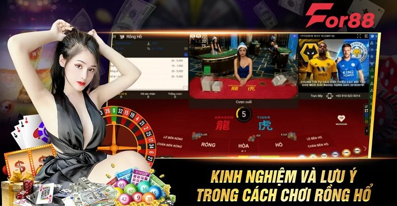 Kinh nghiệm và lưu ý trong cách chơi rồng hổ